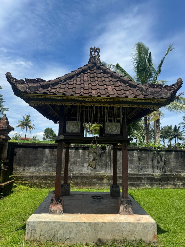 img 2067